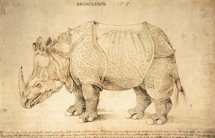 Rhinoceros, Albrecht Durer